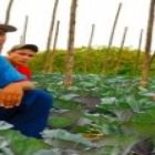 Arranjo reforça ações voltadas para a agricultura familiar