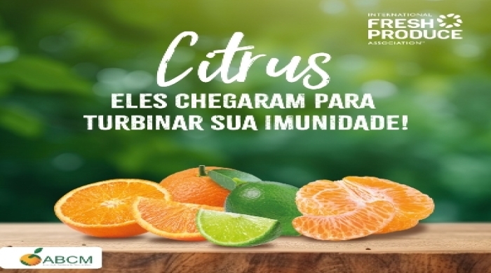 Foto enviada por: Vera Moreira
