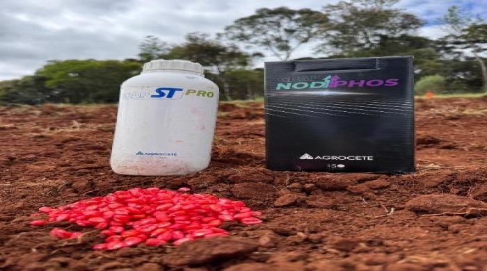 Dependência de fertilizantes importados