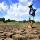 Roraima: Conab doa alimentos para famílias vítimas da estiagem