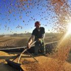 Custo de produção e preço pago ao produtor sobem, aponta Farsul