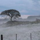 Depois do calor de 30°C, nova onda de frio pode trazer até geada para o Paraná