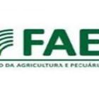 Faeg participa de reunião na Emater sobre a produção agropecuária