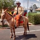  Mineiro anda 1400 km cavalgando em mulas para participar do 3º Barretos Muar do Sertão