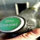 Cientistas chilenos produzem biodiesel a partir de microalgas