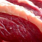 Alta no volume de carne bovina in natura exportada pelo Brasil