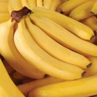 Produção de banana cresce 20% no Amazonas