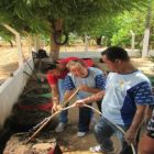 Projetos universitários beneficiam comunidades do Ceará e Alagoas