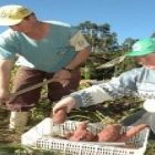 Financiamento para Reforma Agrária sobe a R$ 140 mil