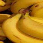 BANANA/CEPEA: colheita de nanica deve se intensificar em maio