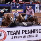 Abertas as inscrições para provas de Team Penning da 64ª Festa do Peão de Barretos