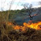 Como combater focos de incêndio em zonas rurais?