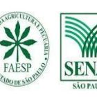 FAESP: São Paulo lidera produção de frutas no Brasil